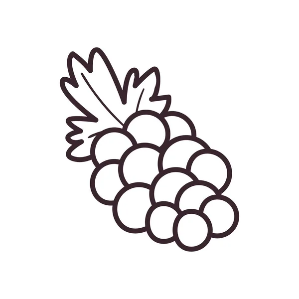 Uvas fruta línea estilo icono vector diseño — Vector de stock