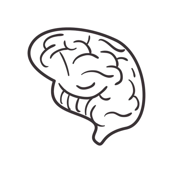 Brain daily sticker line style icon vector design — Stock Vector