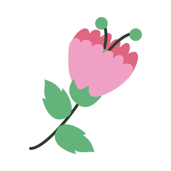 Hermoso icono de la flor, mitad línea medio color estilo — Archivo Imágenes Vectoriales