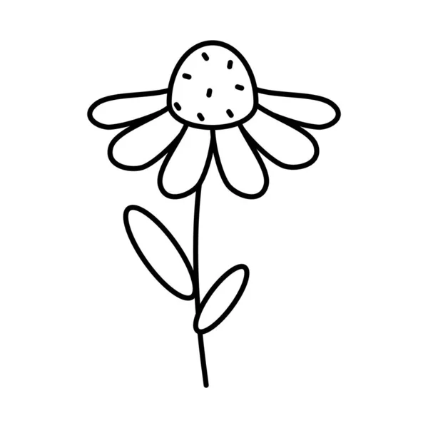 Icône fleur de printemps, style ligne — Image vectorielle
