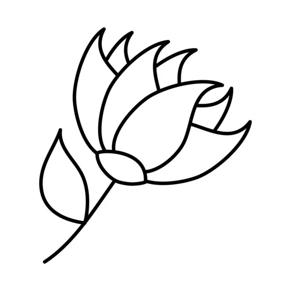 Icono de flor tropical, estilo de línea — Vector de stock