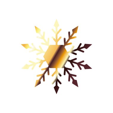 Kar taneleri, noeller ve kış konsepti, altın rengini kaybetmiş stil simgesi