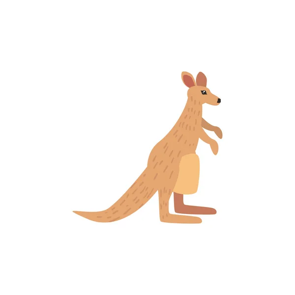 Cute kangaroo animal on white background — Stock Vector