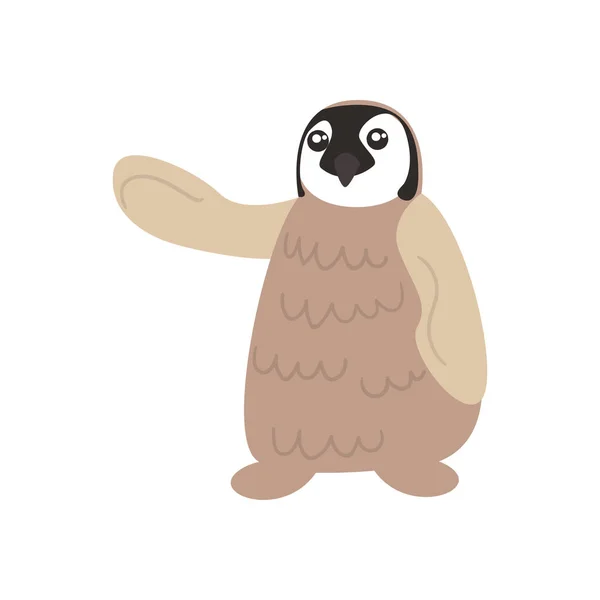 Lindo animal pingüino sobre fondo blanco — Vector de stock