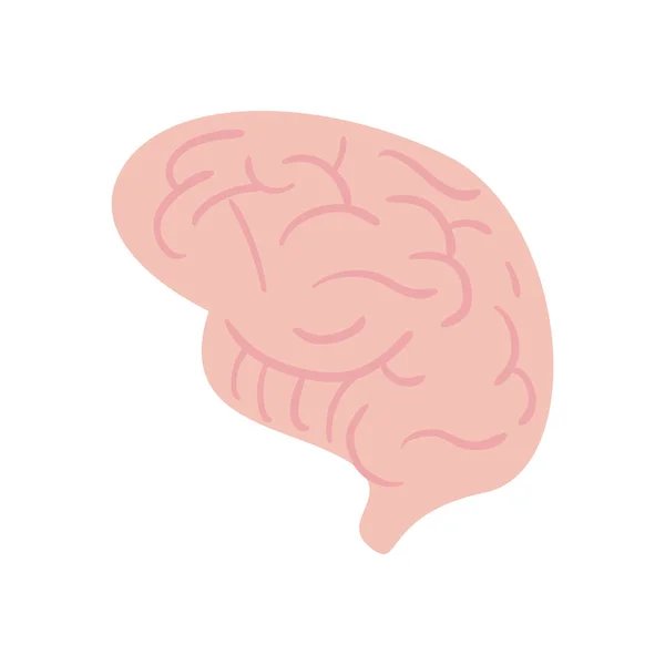 Brain daily sticker flat style icon vector design — Stock Vector