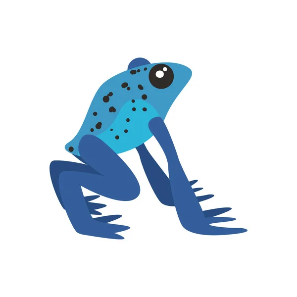 Синя отрута дротяна жаба на білому тлі — стоковий вектор