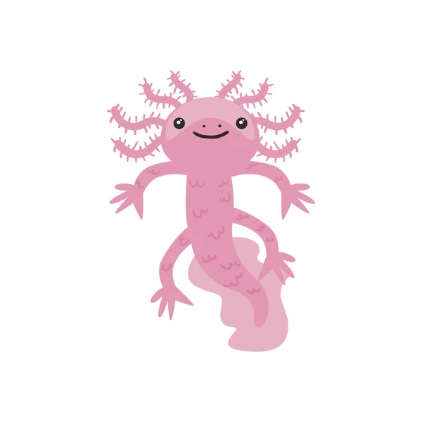 Axolotl salamandre mignon sur fond blanc — Image vectorielle