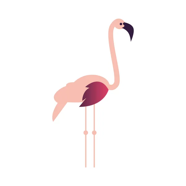 Flamant rose oiseau abstrait icône vectoriel design — Image vectorielle