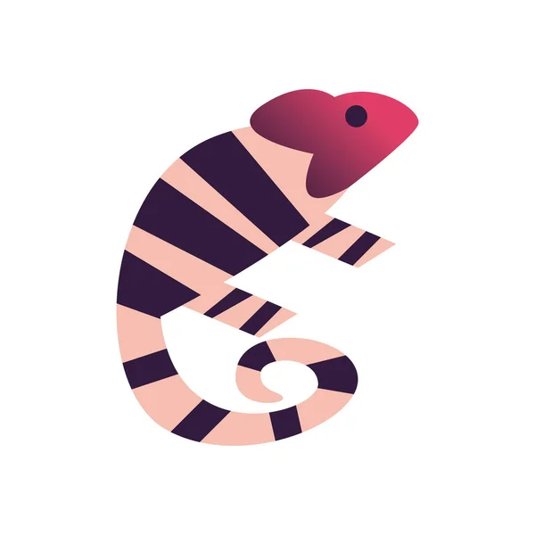 Paski kameleon abstrakcyjny styl ikona wektor projekt — Wektor stockowy