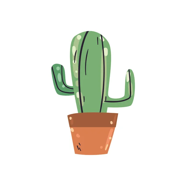 Cactus plant platte stijl icoon vector ontwerp — Stockvector