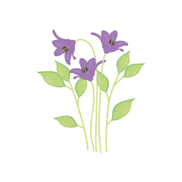 Krásné fialové lilie, barevný design — Stockový vektor