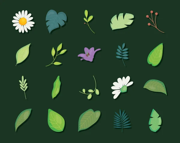 Blätter und Blumen Icon Set, buntes Design — Stockvektor