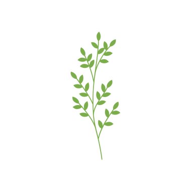 Yapraklı kök, renkli tasarım