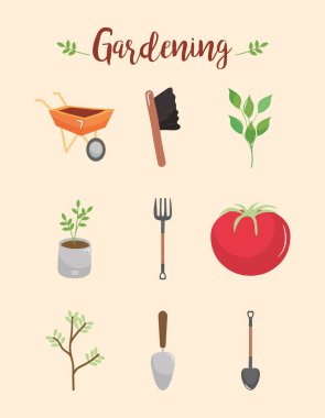 Domates ve bahçe aletleri ve yaprakları, renkli tasarım