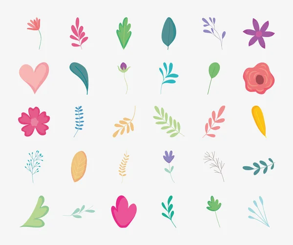 Çiçekler ve yapraklar simge seti, renkli tasarım — Stok Vektör