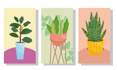 Çerçeve vektör tasarımında üç bitki