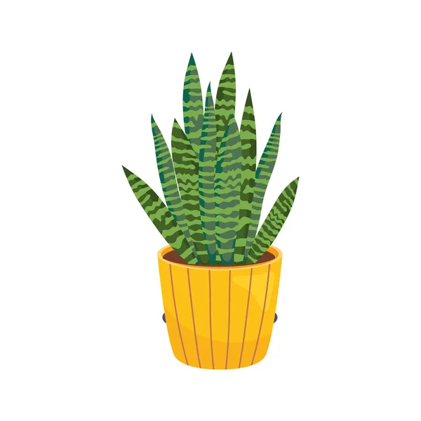 Plant inside yellow pot vector design — Stock Vector