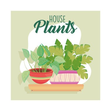 house two plants inside pots on shelf vector design