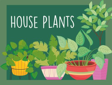 house plants inside pots on green background vector design