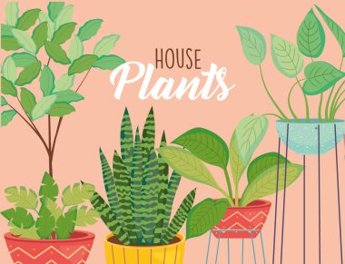 house plants inside pots on cream background vector design