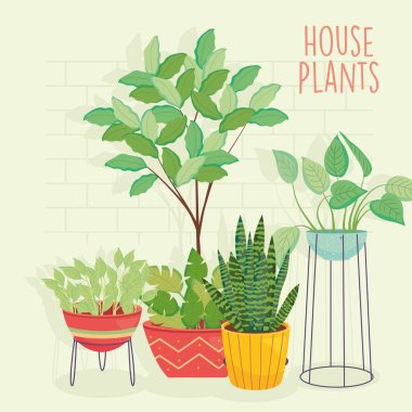 house plants inside colored pots vector design