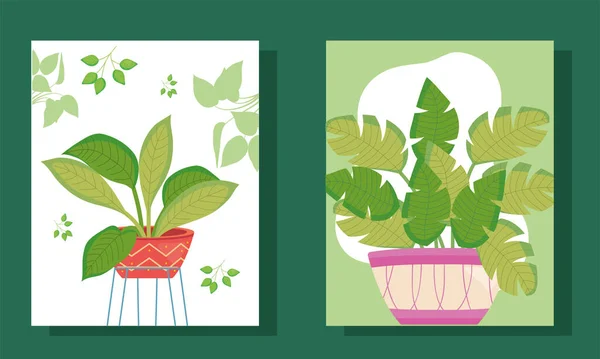 Plantas dentro de macetas en marcos diseño de vectores — Vector de stock