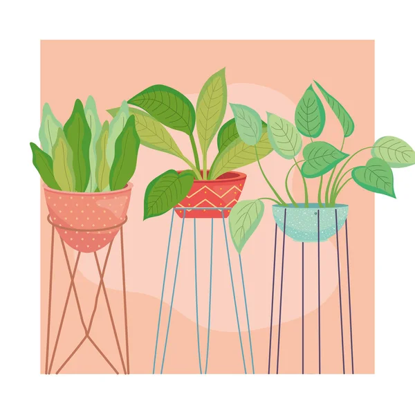 Plants inside pots in frame vector design — 图库矢量图片