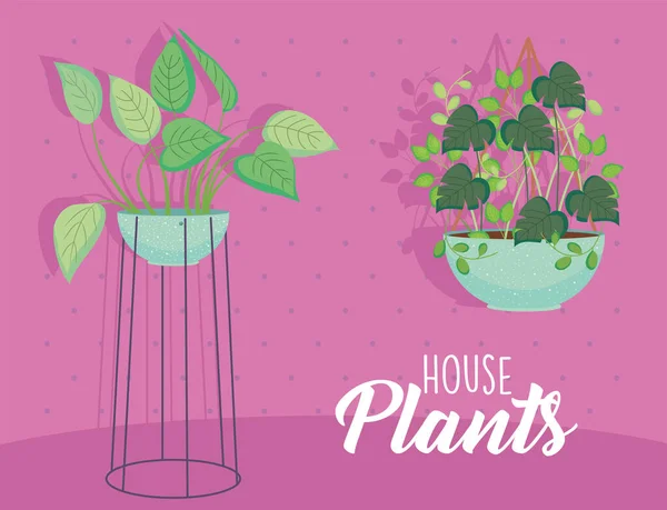 House plants inside blue pots vector design — Vector de stock