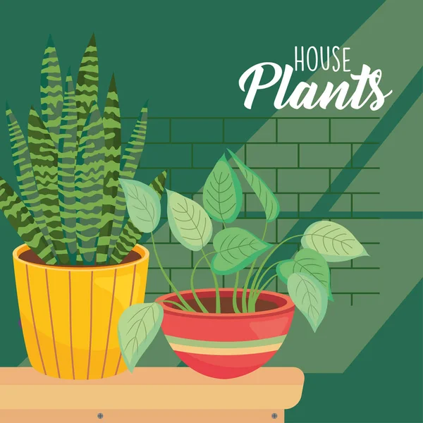 house plants inside yellow and brown pots vector design