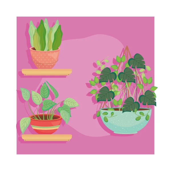 Plants inside pots on shelves and hanging vector design — Vector de stock