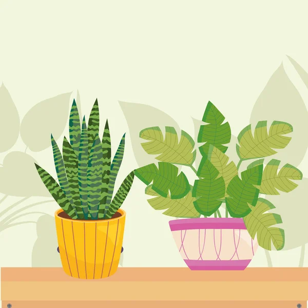 plants inside yellow and purple pots vector design
