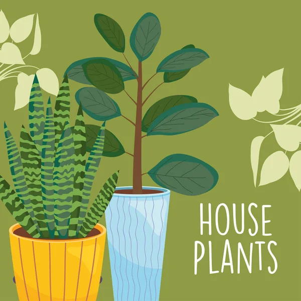 House two plants inside pots with leaves vector design — Vector de stock