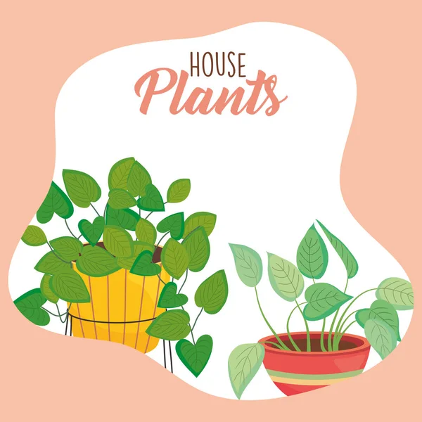 house two plants inside pots vector design