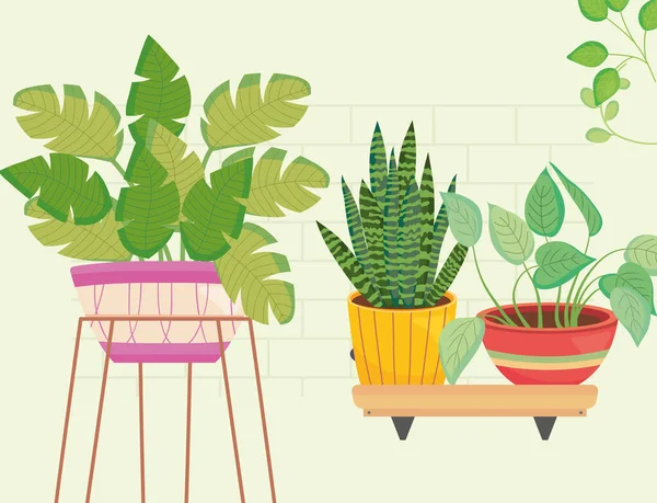 Plants inside pots in vase and on shelf vector design — Vector de stock