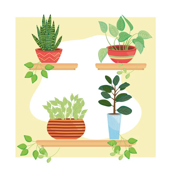 Plants inside pots on shelves vector design — Stockový vektor