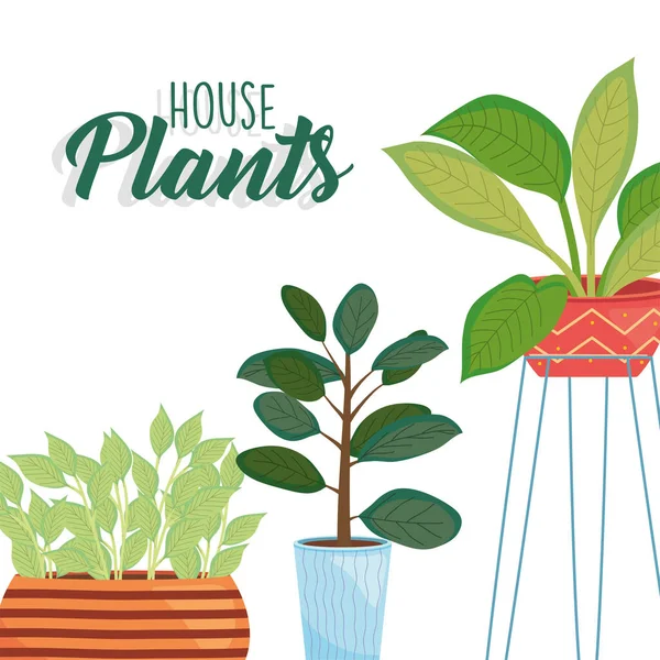 House three plants inside pots vector design — Wektor stockowy