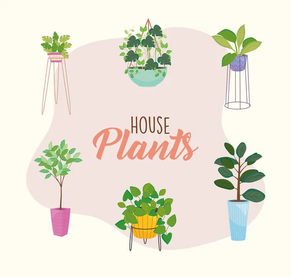Maison icône set plantes à l'intérieur pots vectoriel design — Image vectorielle