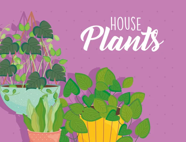 house plants inside pots on purple background vector design