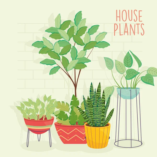 House plants inside colored pots vector design — Wektor stockowy