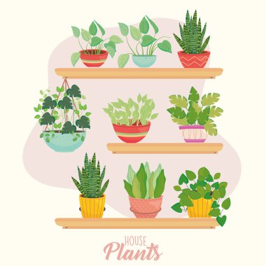 house plants inside pots on shelves vector design