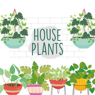 house plants inside pots in front of wall vector design