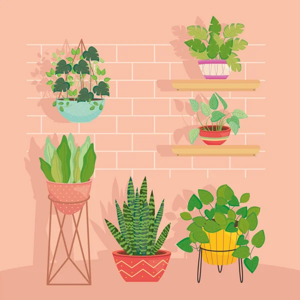 Plants inside pots in front of bricks wall vector design — 스톡 벡터