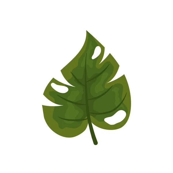 Icône de feuille de philodendron, design coloré — Image vectorielle