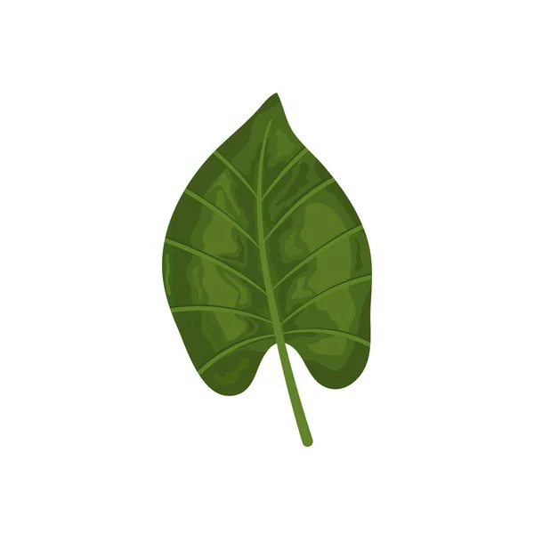 Иконка из листьев антура, красочный дизайн — стоковый вектор