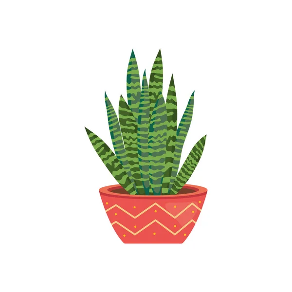 Concept de plantes maison, plante de serpent sur un pot de plantation avec un design abstrait, design coloré — Image vectorielle