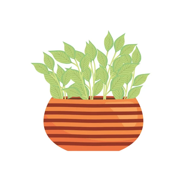 Zimmerpflanze auf einem gestreiften Pflanztopf, farbenfrohes Design — Stockvektor