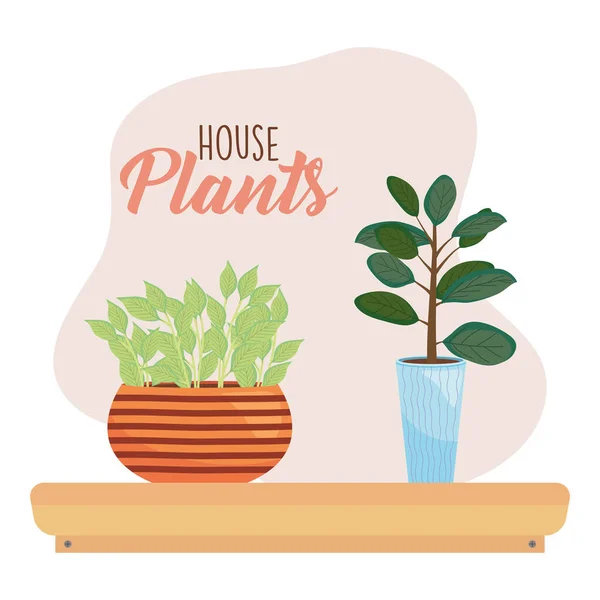 Diseño de plantas de la casa con dos plantas con macetas decorativas, diseño colorido — Vector de stock