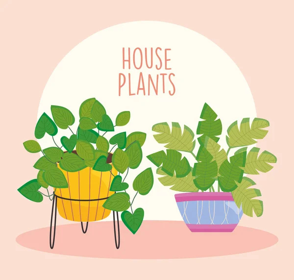 Diseño de plantas de la casa con hermosas plantas en macetas de colores, diseño colorido — Vector de stock