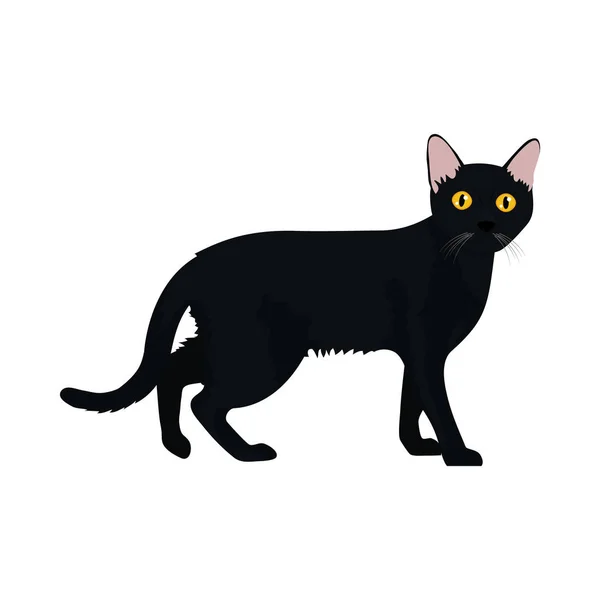 Desenho animado ícone gato preto, design colorido —  Vetores de Stock