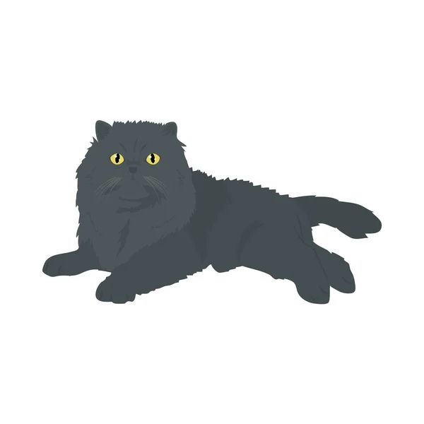 Desenho animado ícone gato persa, design colorido — Vetor de Stock